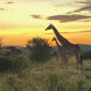 Meet your Posher, Eliza